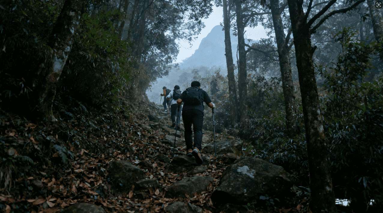 让风驰加速器实现网络不中断的详细操作指南
